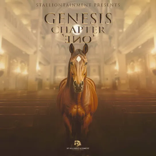Stallion X  NgineDlozi Ft. Navigator Gcwensa, Xowla, Ugatsheni, Diary & Zamoh Cofi Mp3 Download