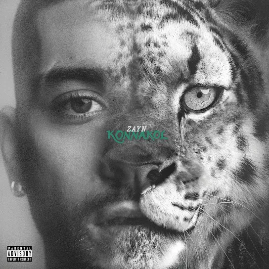 ZAYN  Like I Have You Mp3 Download