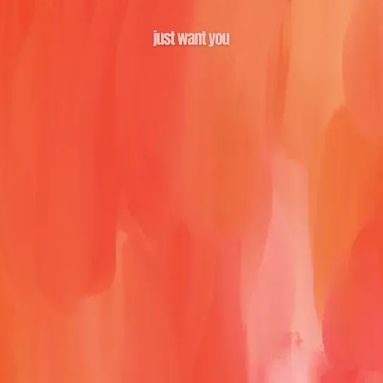 Charlie  Just Want You Ft. the Lights Mp3 Download