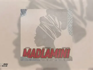 DoouShii and Scotts Maphuma  MaDlamini Ft. Scotts Maphuma, Mellow & Sleazy Mp3 Download