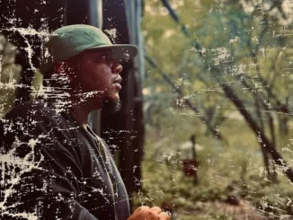 Dr Ahadi  Phakade Lami Mp3 Download