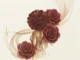 Dre Island  Roses Ft. iotosh Mp3 Download
