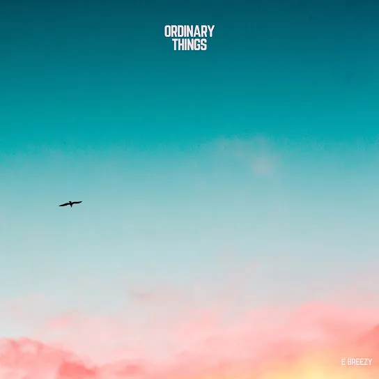 E Breezy  Ordinary Things Mp3 Download