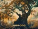 Fuse ODG  Komfo Anokye Ft. BackRoad Gee & Pa Salieu Mp3 Download