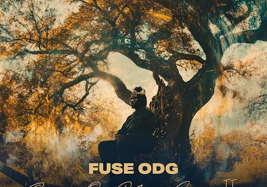 Fuse ODG  Papi Ft. Sarkodie & Righteous Mp3 Download