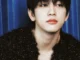 Jinyoung  Seventeen (with WONPIL (DAY6)) Mp3 Download