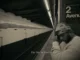 Odeal  On Me Ft. 6LACK Mp3 Download
