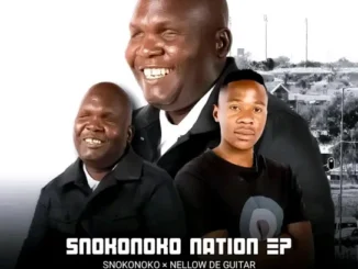 Snokie  Zela force Ft. Nellow de guitar, Thee Ants, Space jay & Inolofatseng KG Mp3 Download