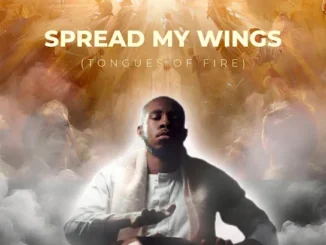 Sounds Of Ascent  Spread My Wings (Lawrence Oyor Chant Version) Mp3 Download