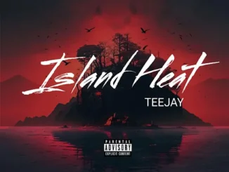 Teejay  Thank You Teejay (Remix) Mp3 Download