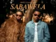 Dolphin FC  Empro & @Danya_devs  Sabawela Mp3 Download