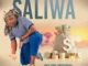 Saliwa  uMaShabalala Ft. iNdoni Mp3 Download