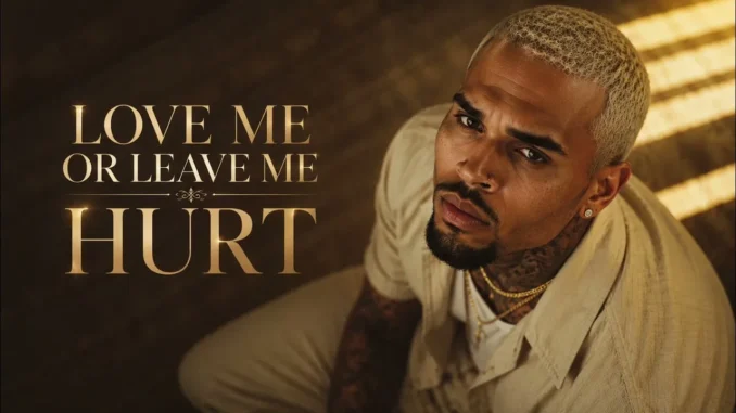 Chris Brown  Love Me Or Leave Me Hurt Mp3 Download