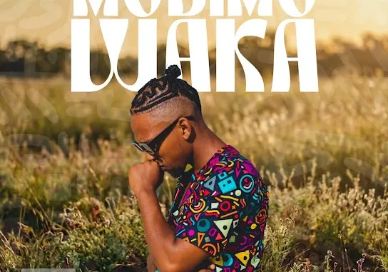 Dj 8Milli  Modimo Waka Ft. KG Smallz, Beekay Monalayzzar, Seneath & Fifi Mp3 Download
