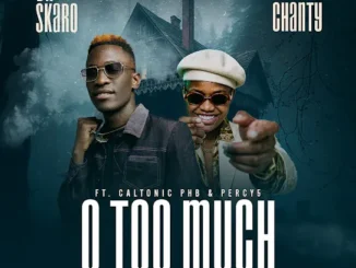 Dr Skaro  O Too Much Ft. PLG Chanty, Caltonic PHB & Percy 5 Mp3 Download