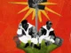 K.Keed  Tuku Tuku Ft. Orish Mp3 Download