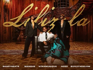 Sandy6eats, Manque & Ntaxmu6ique  Lilizela (Visualizer) feat. Noex & Buhle Ndalow Mp3 Download