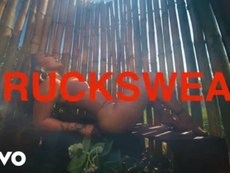 Shenseea  BRUCKSWEAT Mp3 Download