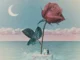 Stromae  des fleurs x stromae Ft. Tove Lo Mp3 Download