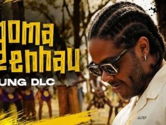 Young DLC  Ngoma dzeNhau Mp3 Download